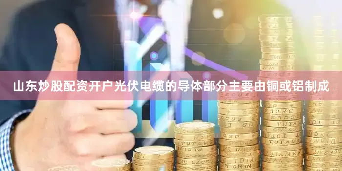 山东炒股配资开户光伏电缆的导体部分主要由铜或铝制成