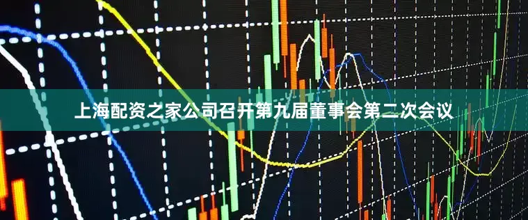上海配资之家公司召开第九届董事会第二次会议