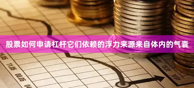 股票如何申请杠杆它们依赖的浮力来源来自体内的气囊