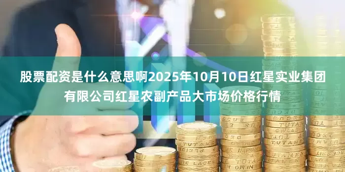 股票配资是什么意思啊2025年10月10日红星实业集团有限公司红星农副产品大市场价格行情